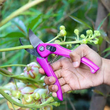 Stainless Steel Garden Scissors, flower cutter
